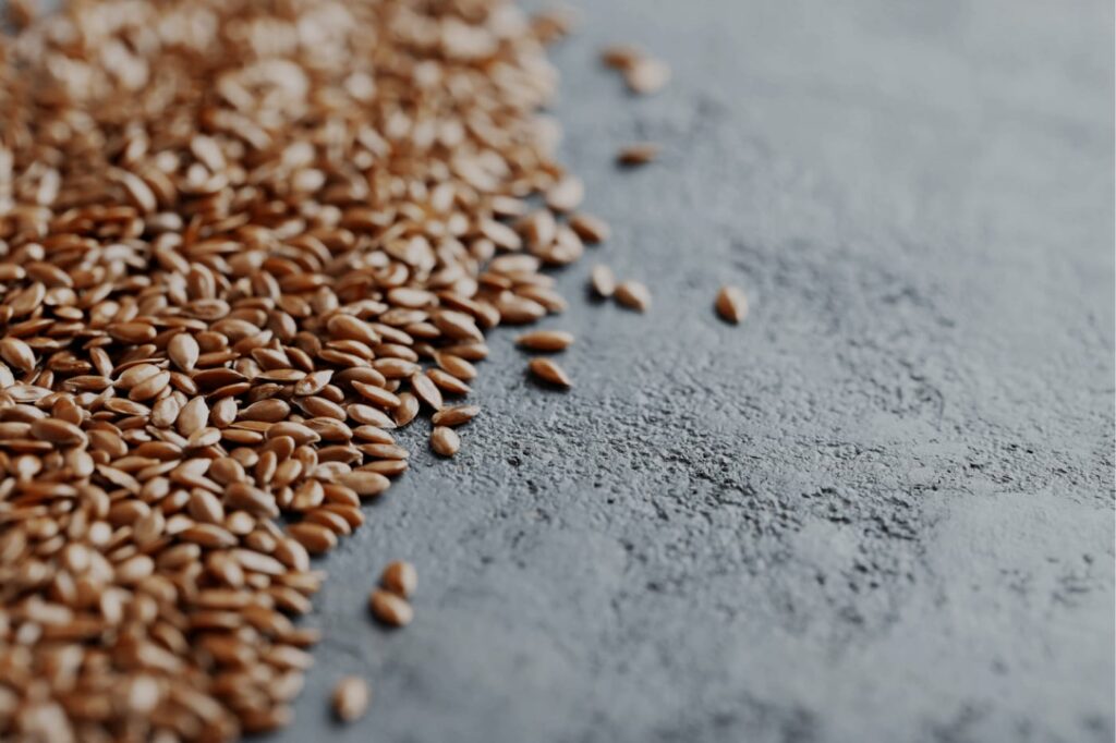 Linseed oil Uppsala linseeds lying on the table ready to be processed and become oil