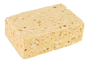 Natursvamp